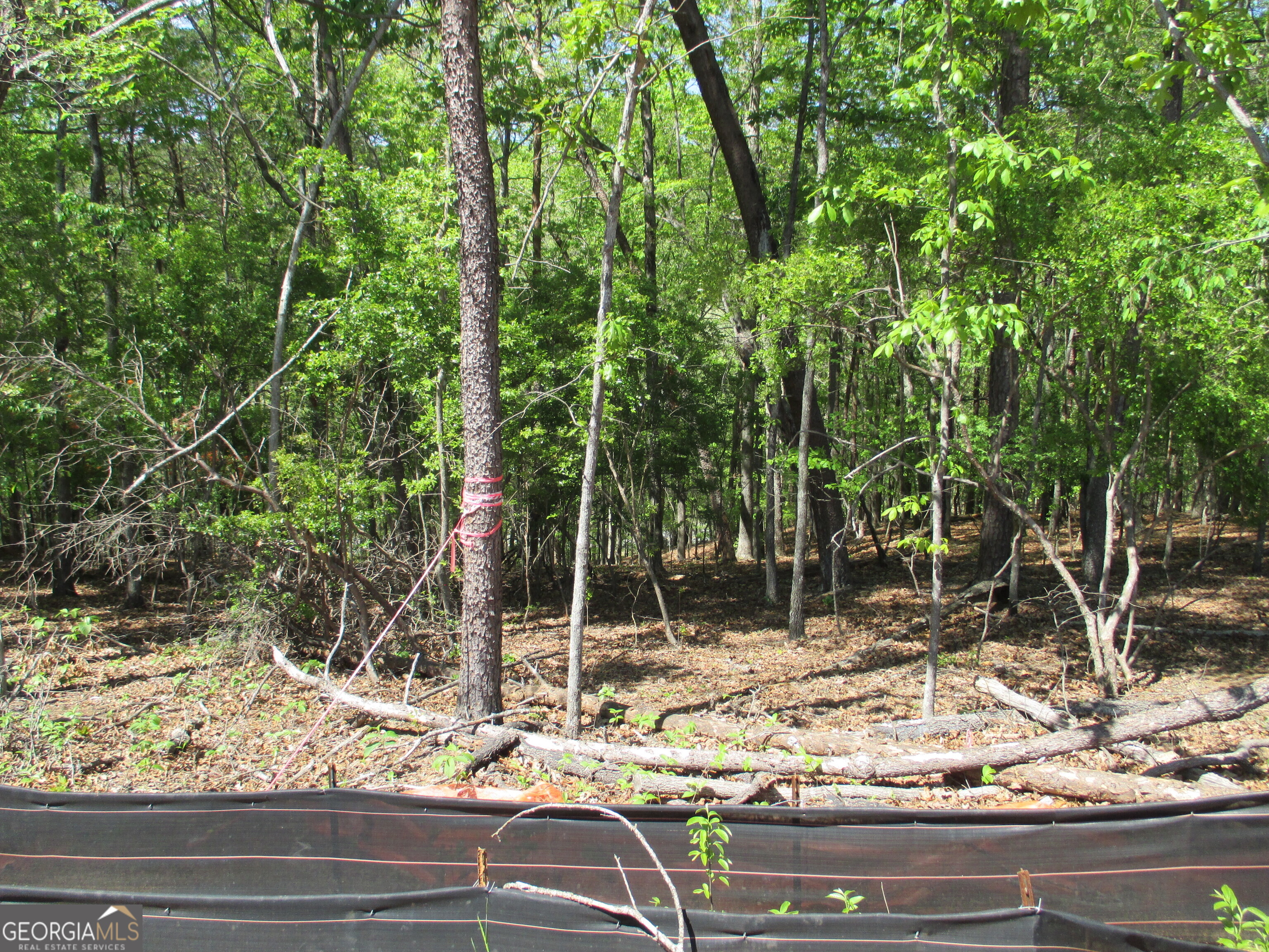 0 Morrison Moore Parkway E Property Photo 10