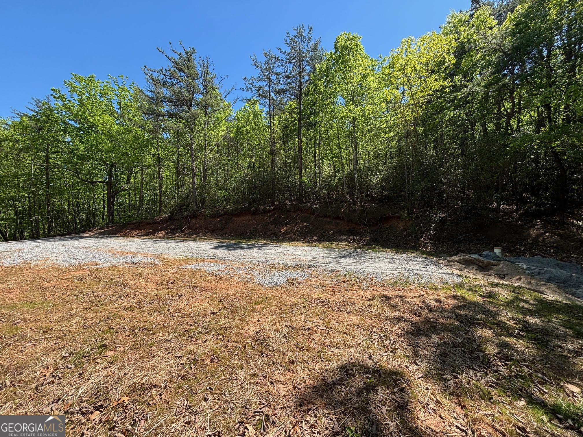174 Forbes Drive Property Photo 1