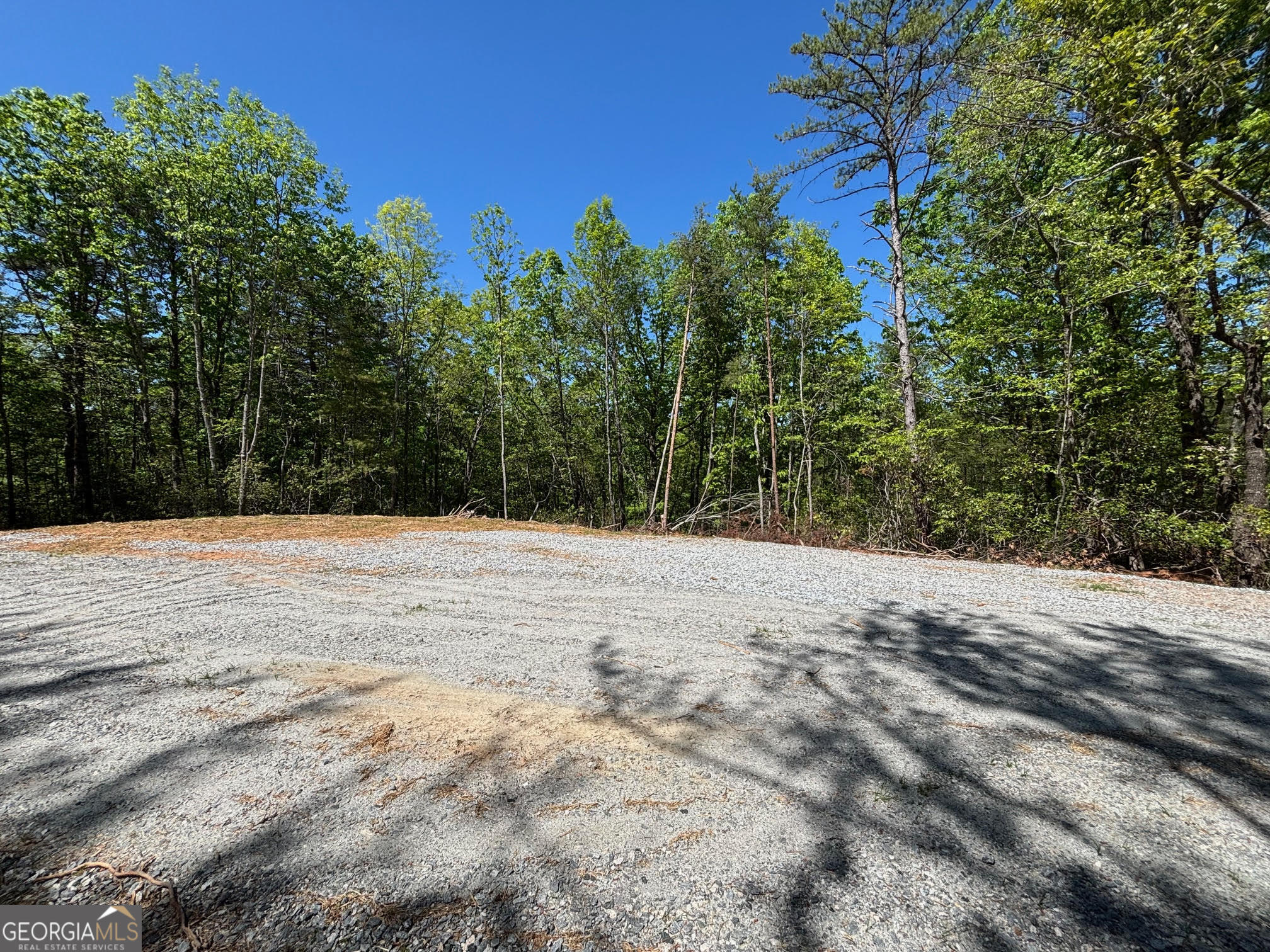 174 Forbes Drive Property Photo 4