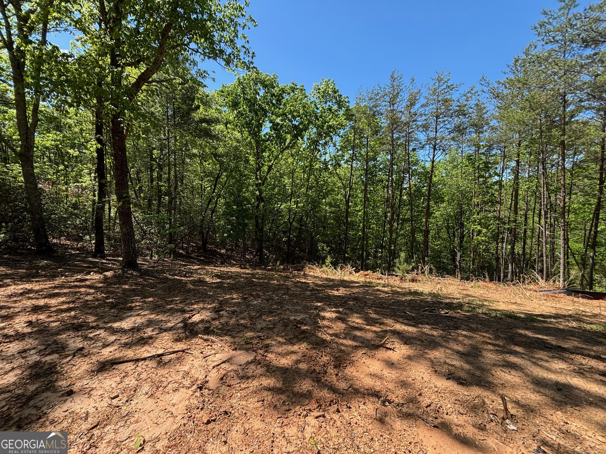 174 Forbes Drive Property Photo 12