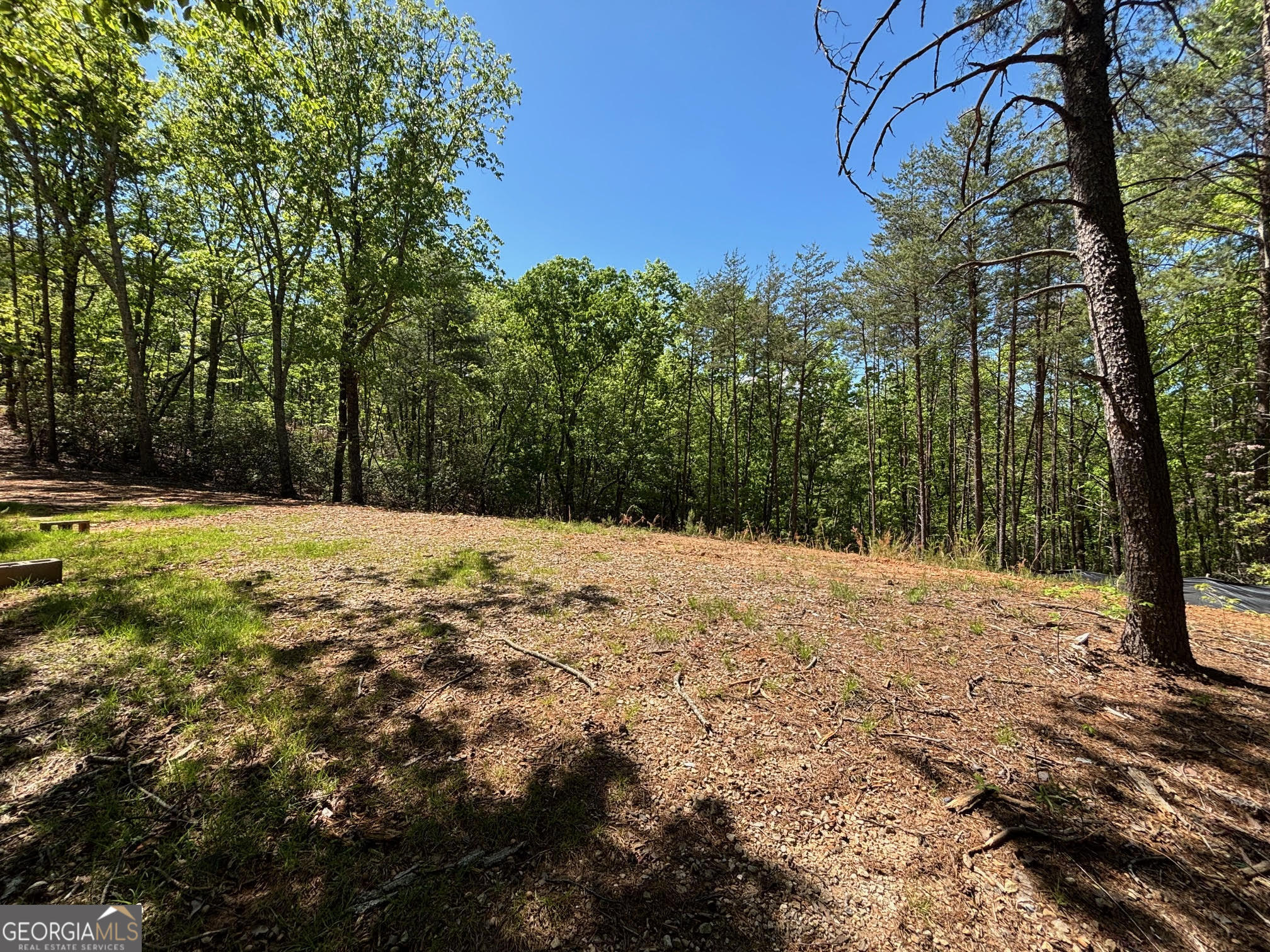 174 Forbes Drive Property Photo 14