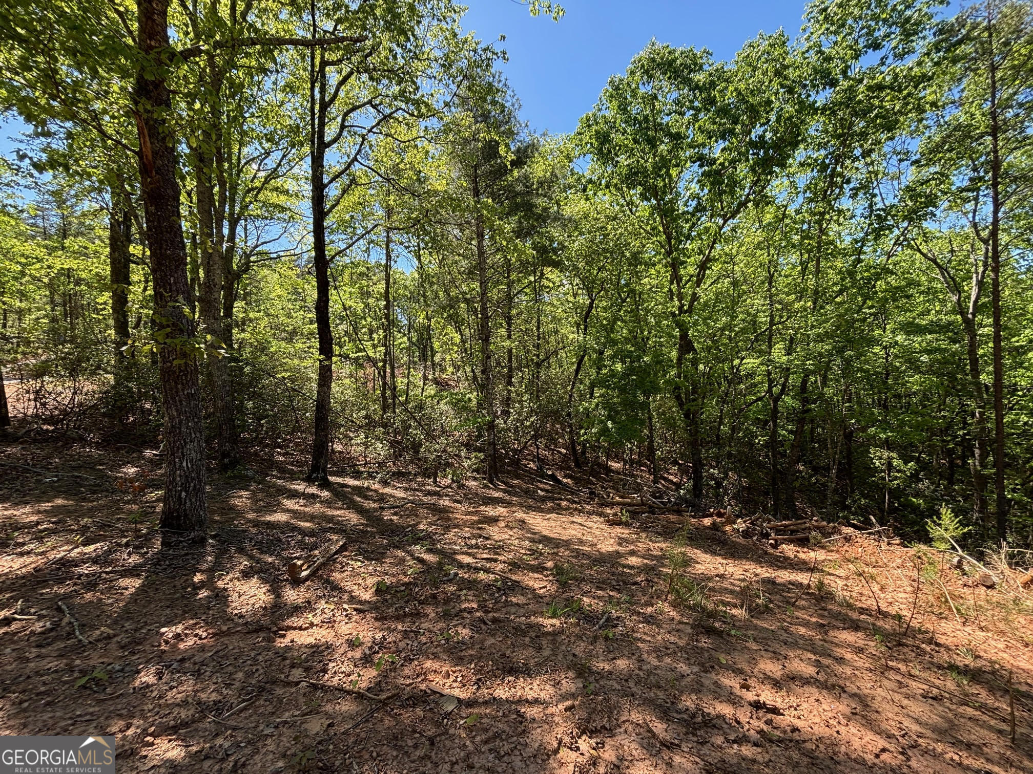 174 Forbes Drive Property Photo 16