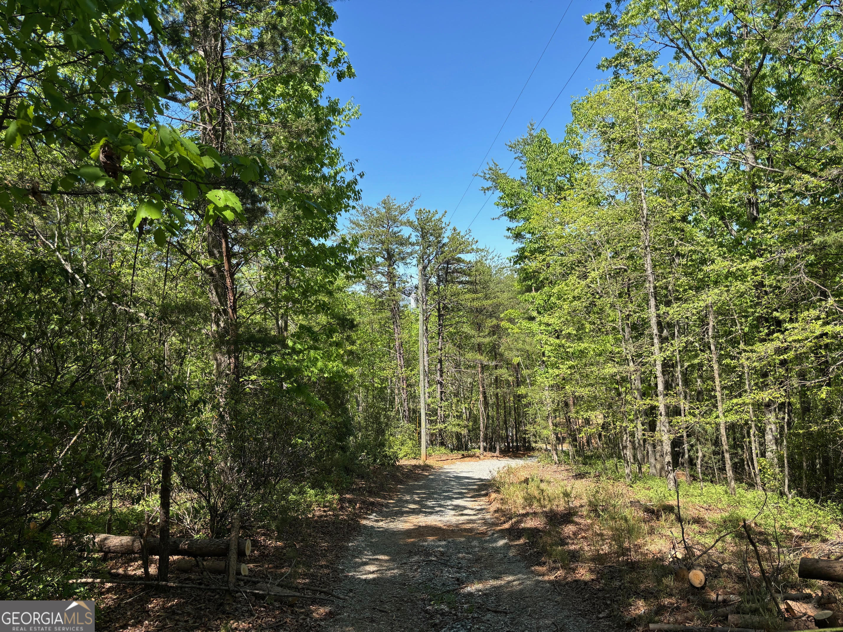174 Forbes Drive Property Photo 17