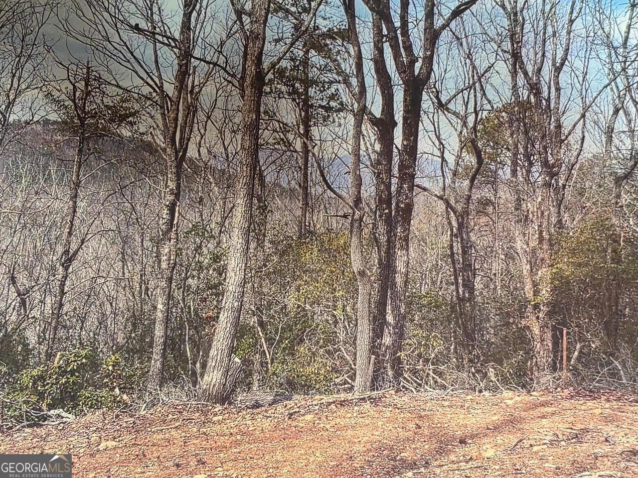 174 Forbes Drive Property Photo 19
