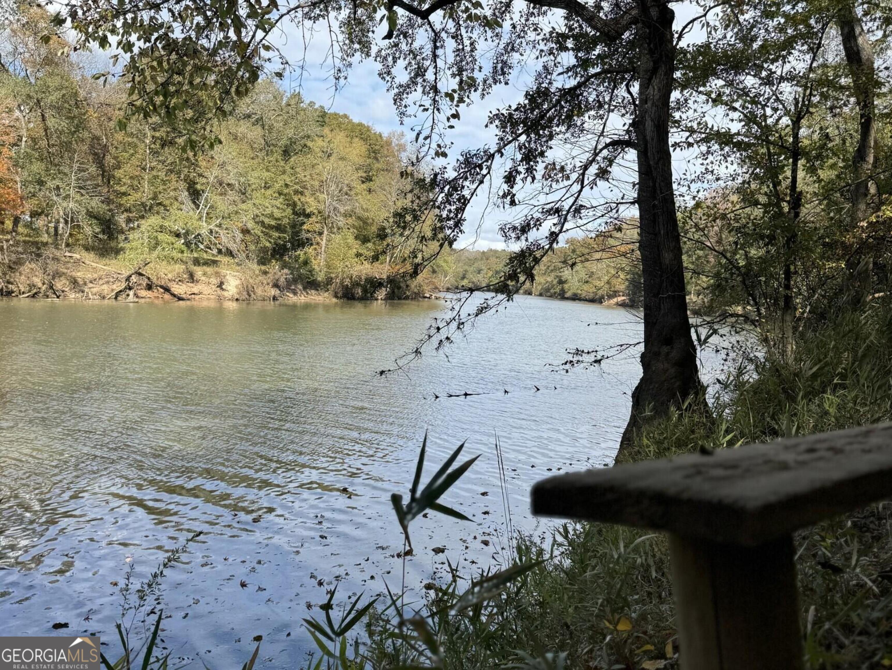 9.09 ACRE Flint River Road Property Photo 1
