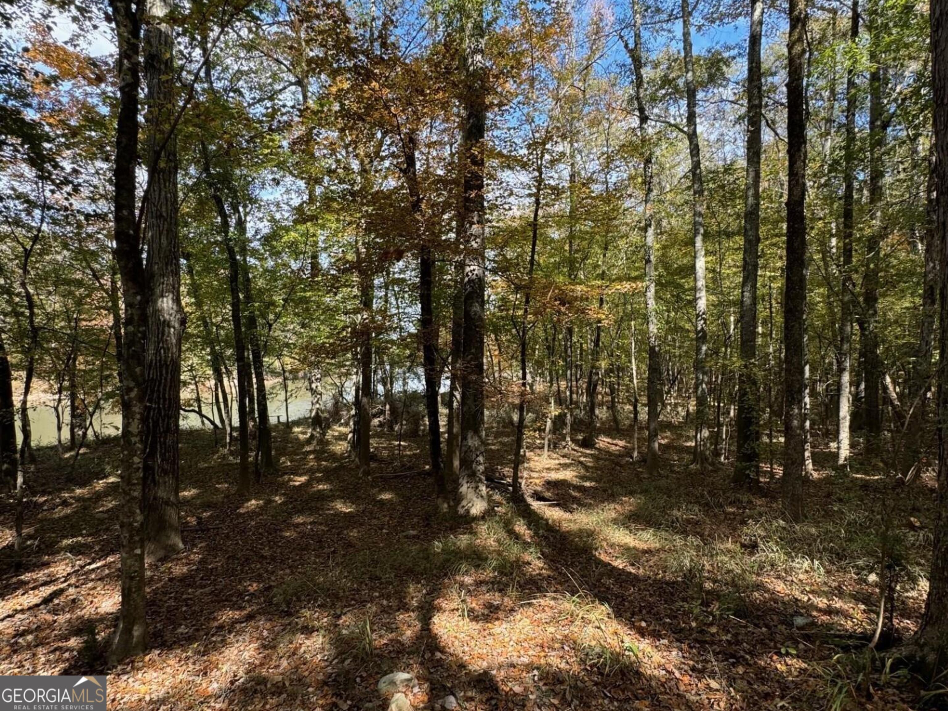 9.09 Acre Flint River Road Property Photo 2