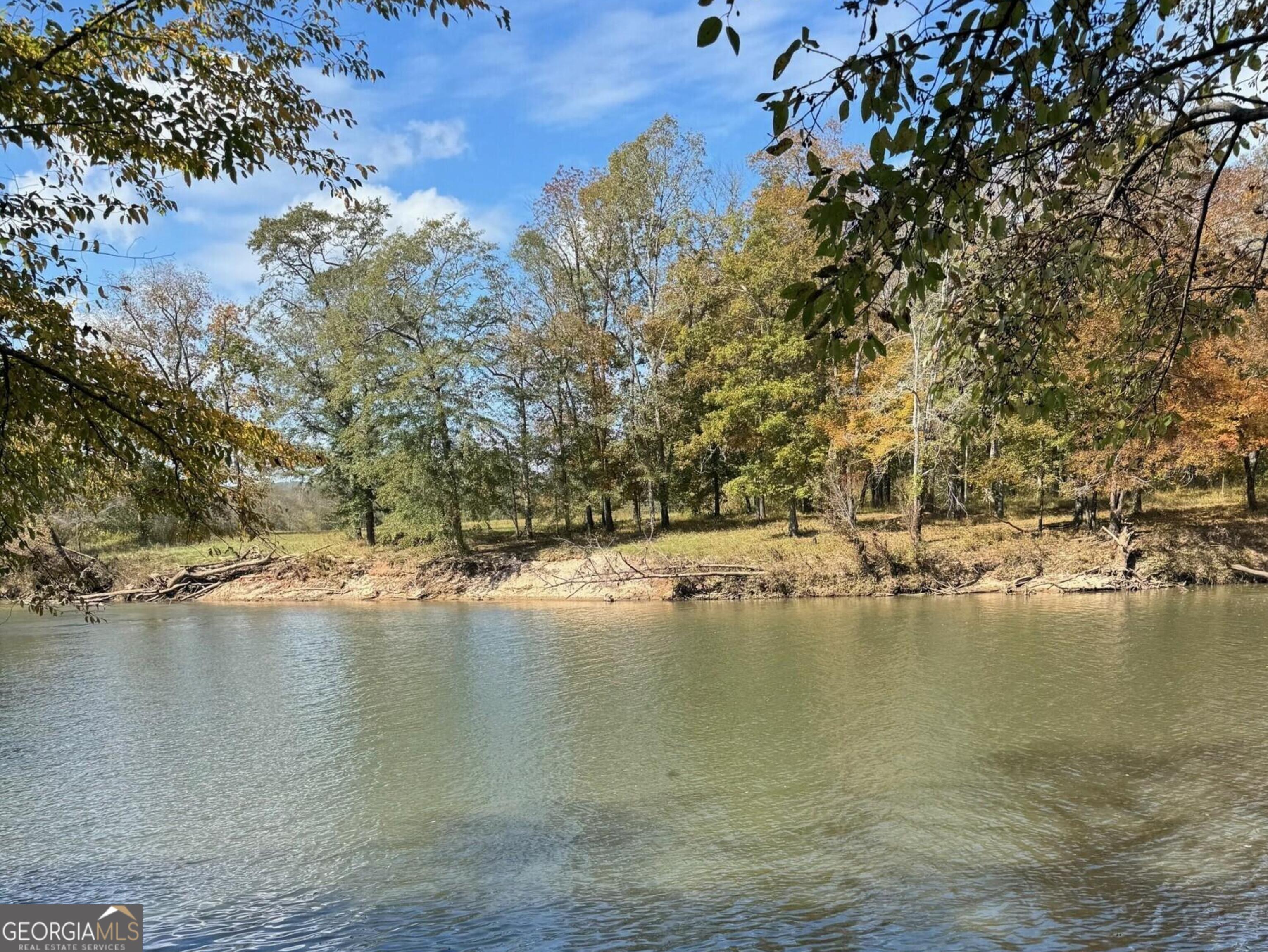 9.09 Acre Flint River Road Property Photo 3