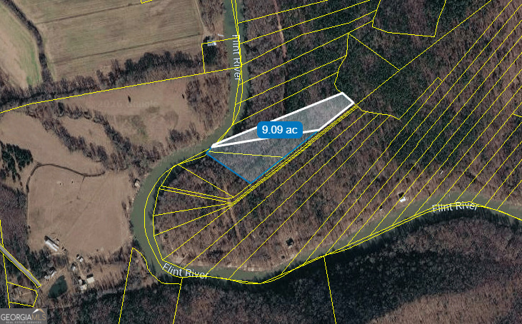 9.09 Acre Flint River Road Property Photo 4
