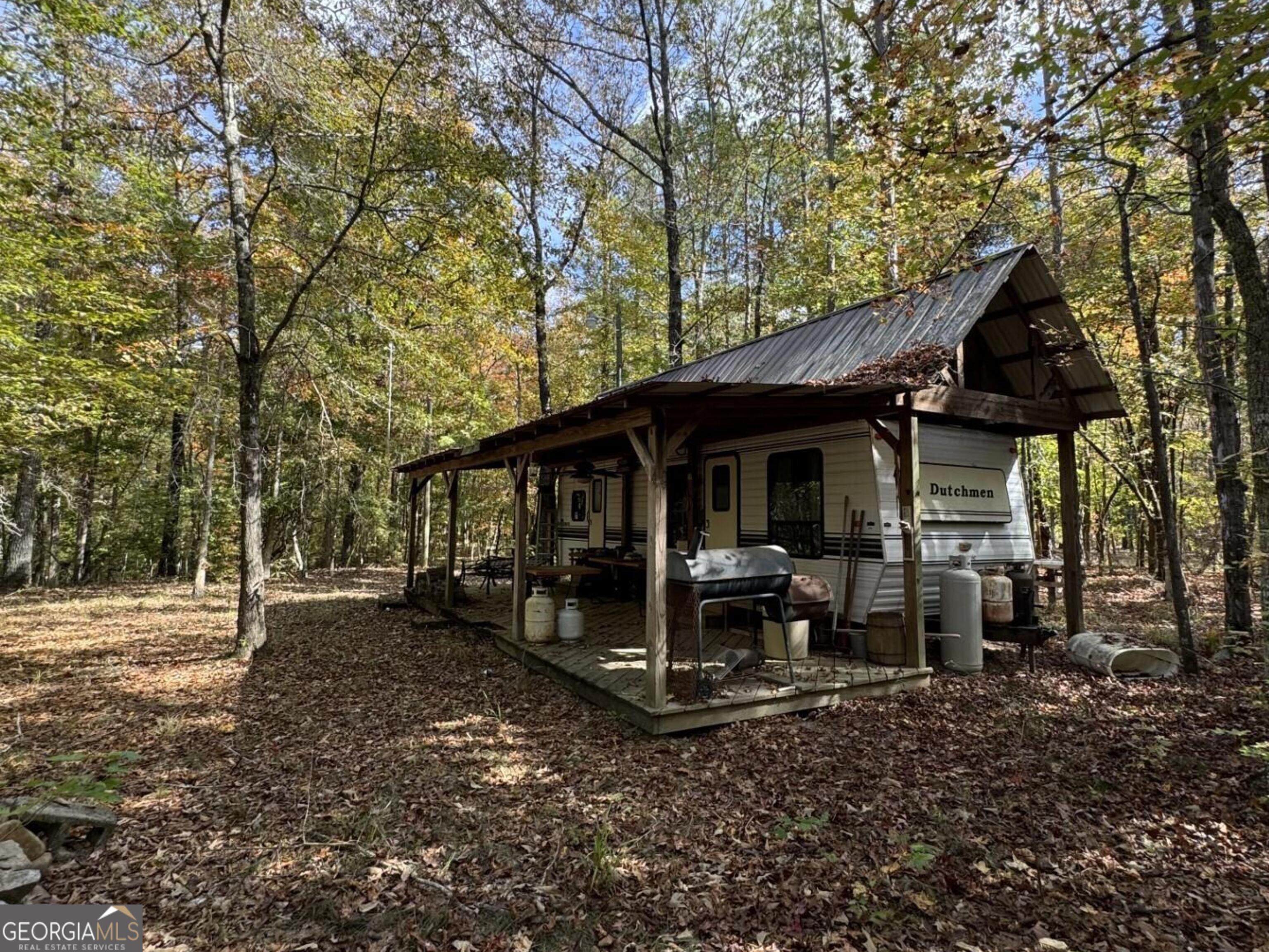 9.09 Acre Flint River Road Property Photo 6