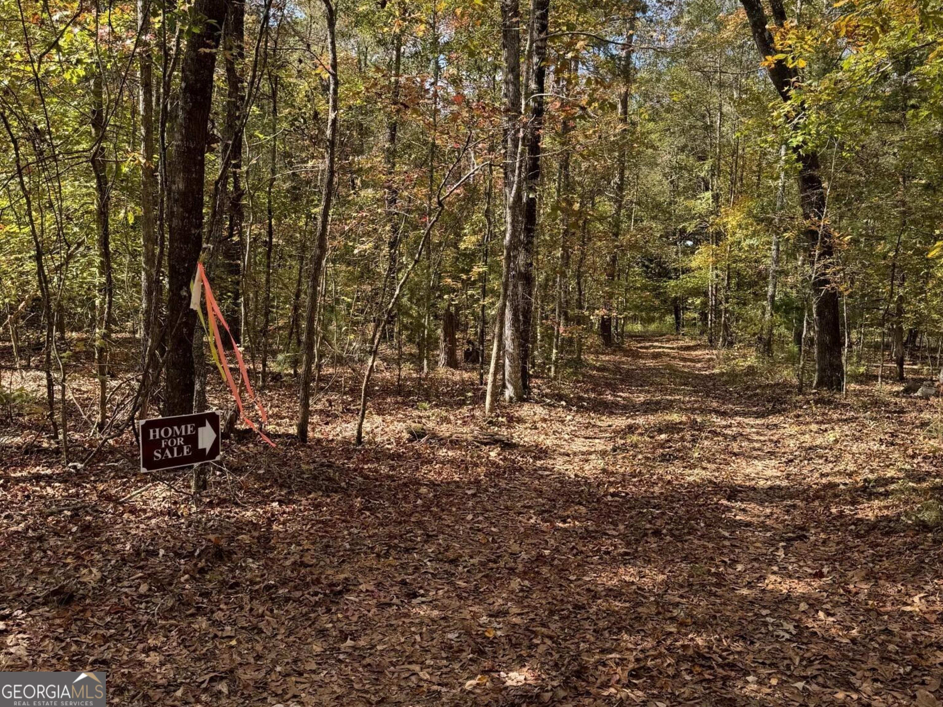9.09 Acre Flint River Road Property Photo 8