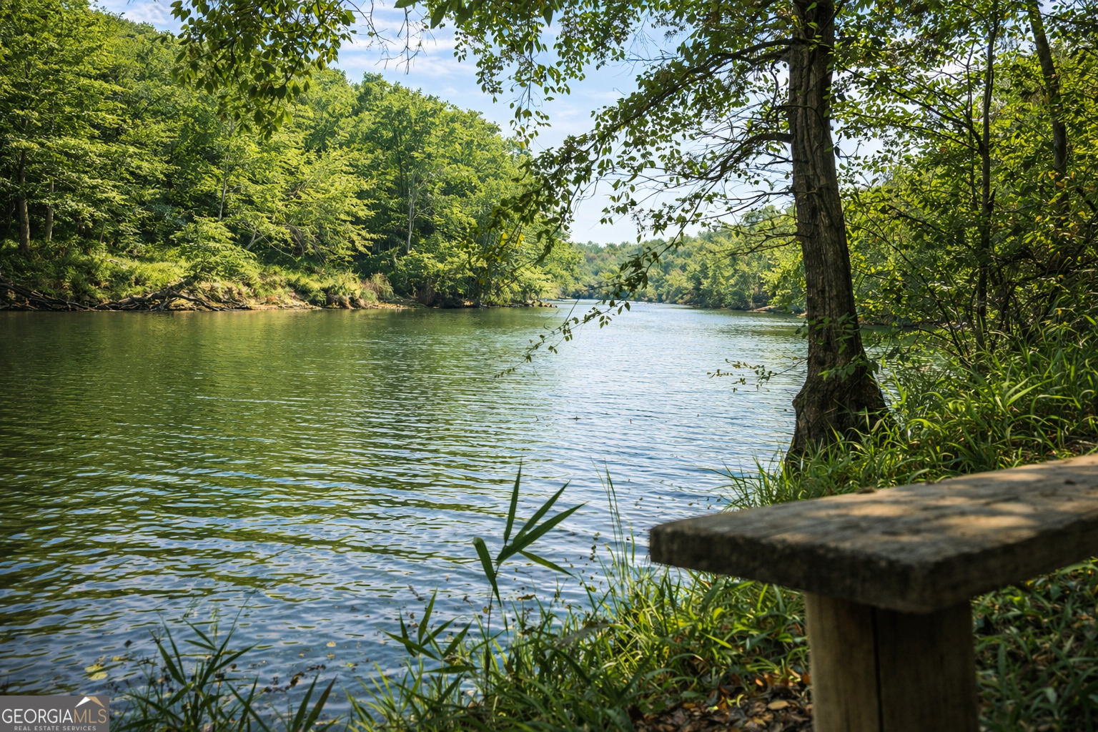 2.32 Acres Flint River Road Property Photo 1