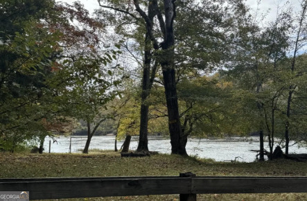 2.32 Acres Flint River Road Property Photo 4