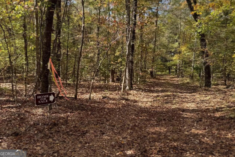 2.32 Acres Flint River Road Property Photo 5