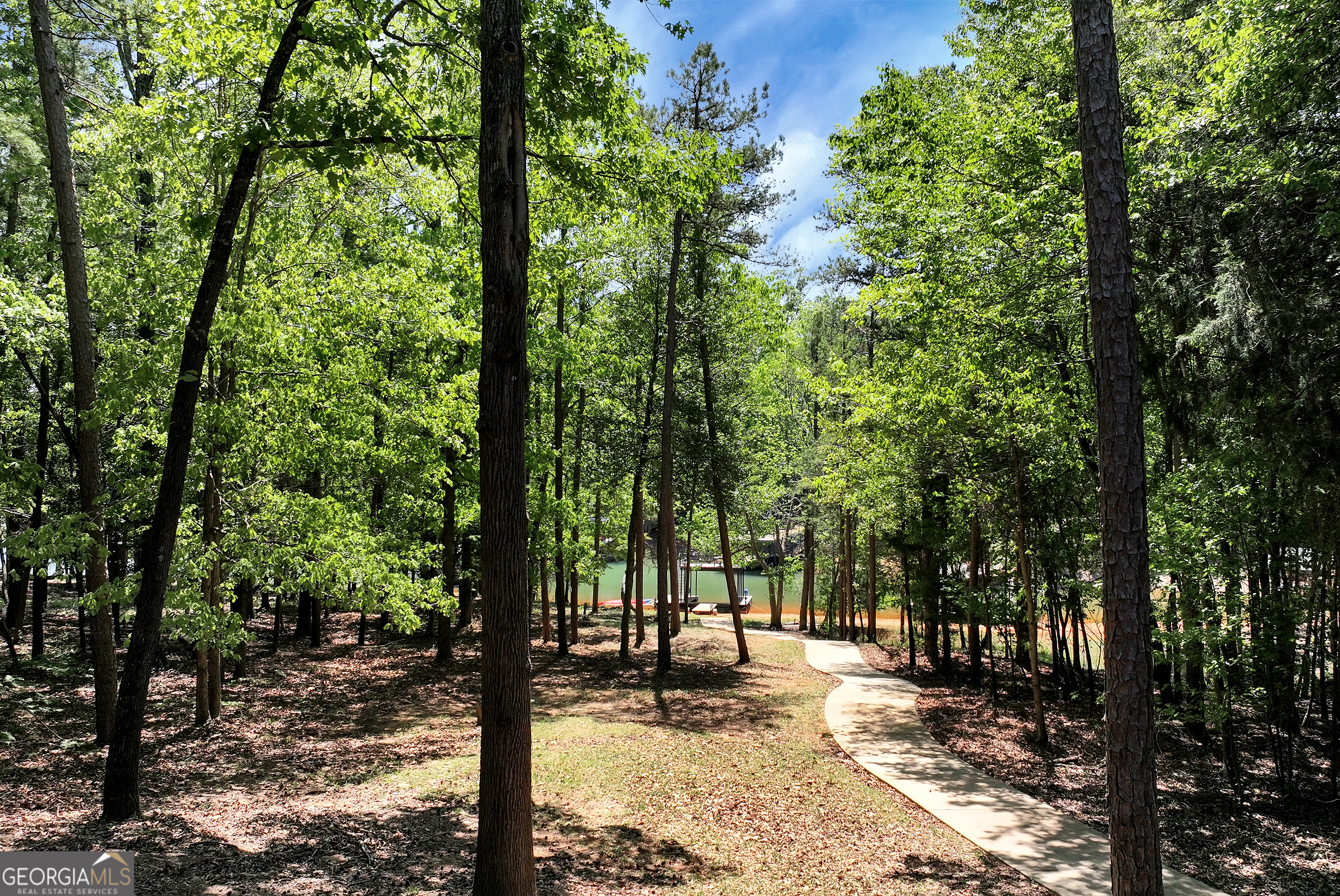 142 Hugh Dorsey Road Property Photo 48