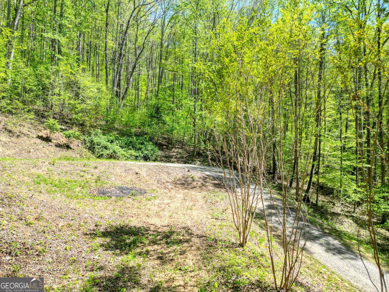 370 Taylor Way Property Photo 6