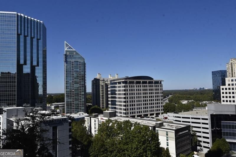 3324 Peachtree Road Ne # 1115 Property Photo 17