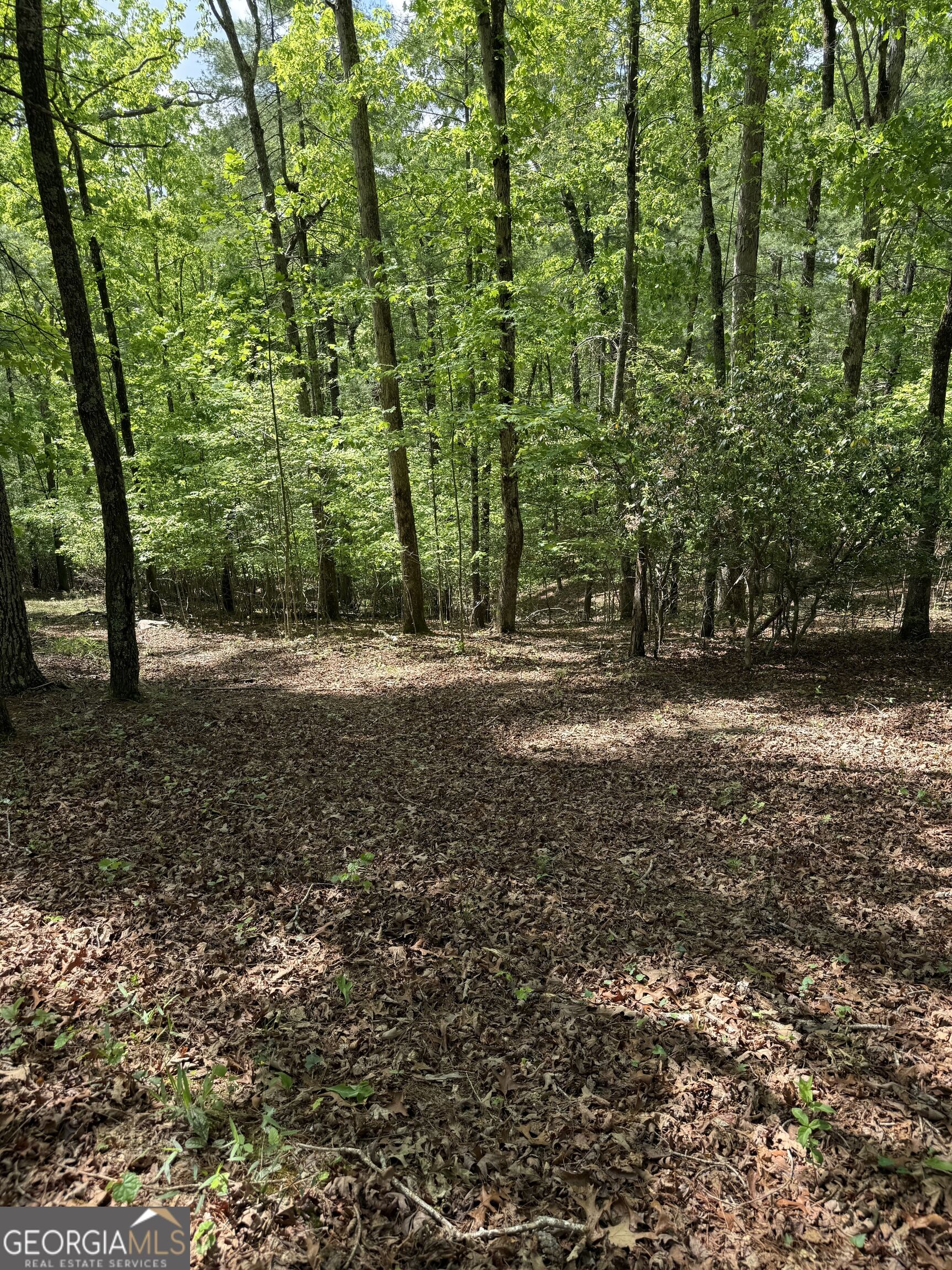 0 Mill Trace Court Property Photo 1