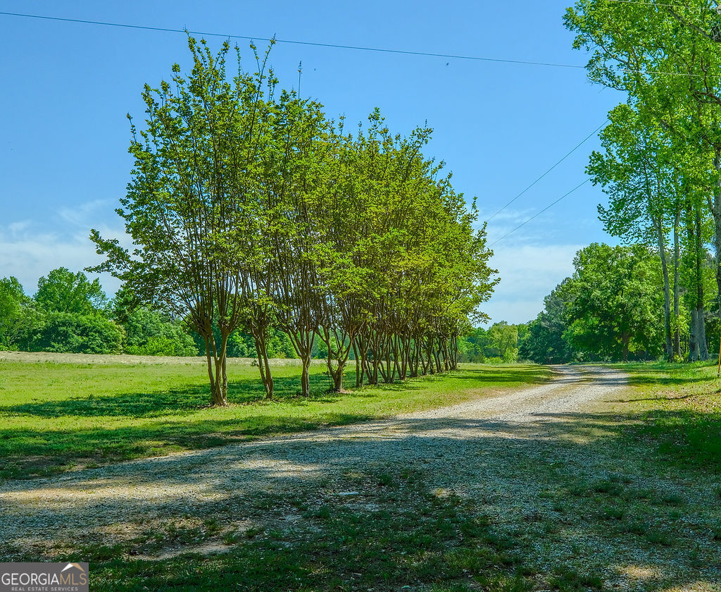 838 Buford Carey Road Property Photo 41