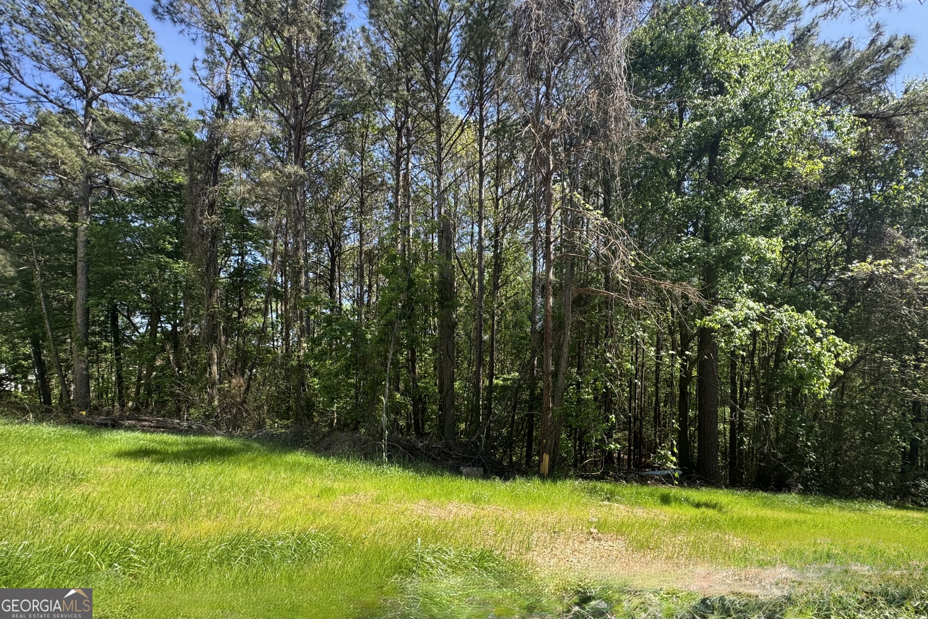 139 Constitution Pointe Property Photo 1