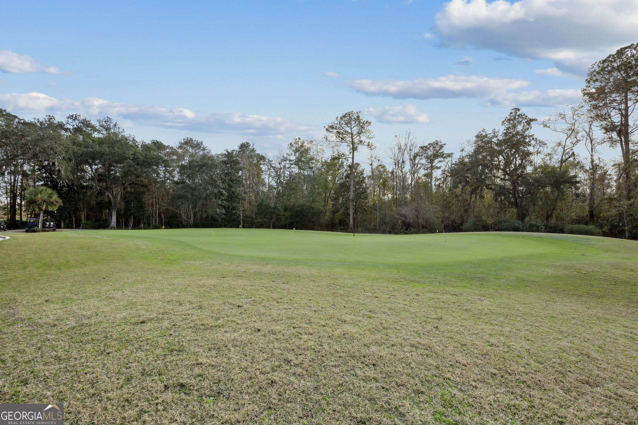 207 Monticello Drive Property Photo 107