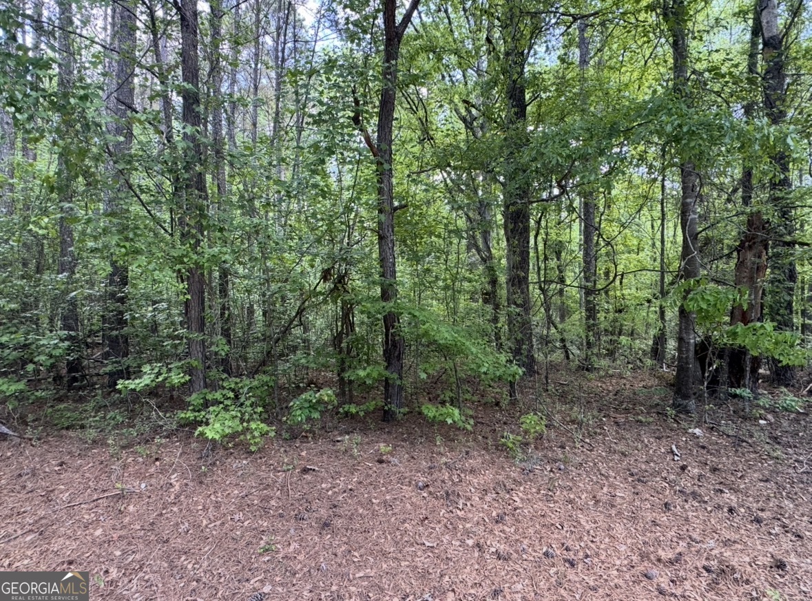 N Of 482 Antioch Road - 25.596 Acres Property Photo 8