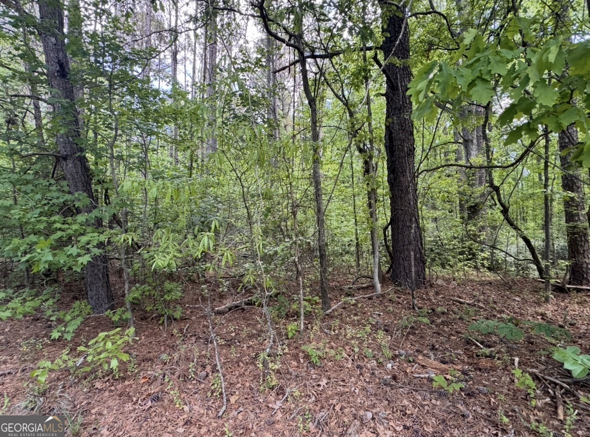 N Of 482 Antioch Road - 25.596 Acres Property Photo 10