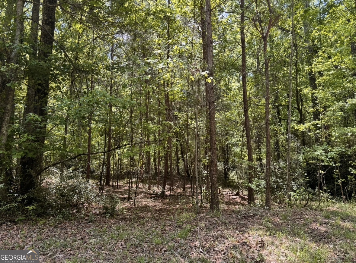 N Of 482 Antioch Road - 25.596 Acres Property Photo 11