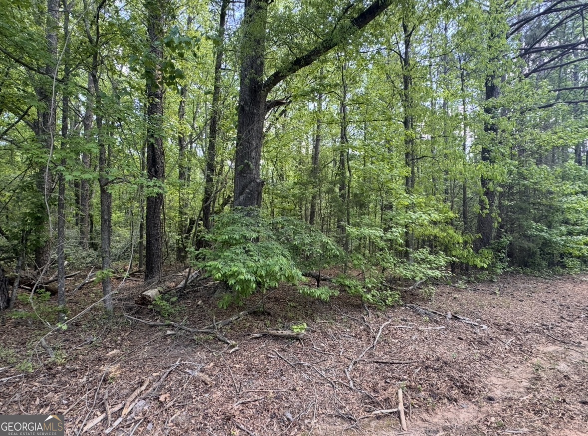 N Of 482 Antioch Road - 25.596 Acres Property Photo 12