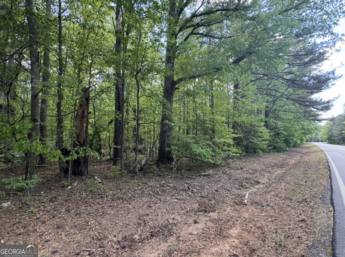 N Of 482 Antioch Road - 25.596 Acres Property Photo 14