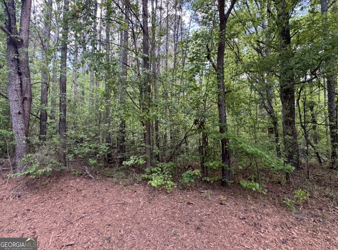 N Of 482 Antioch Road - 25.596 Acres Property Photo 15