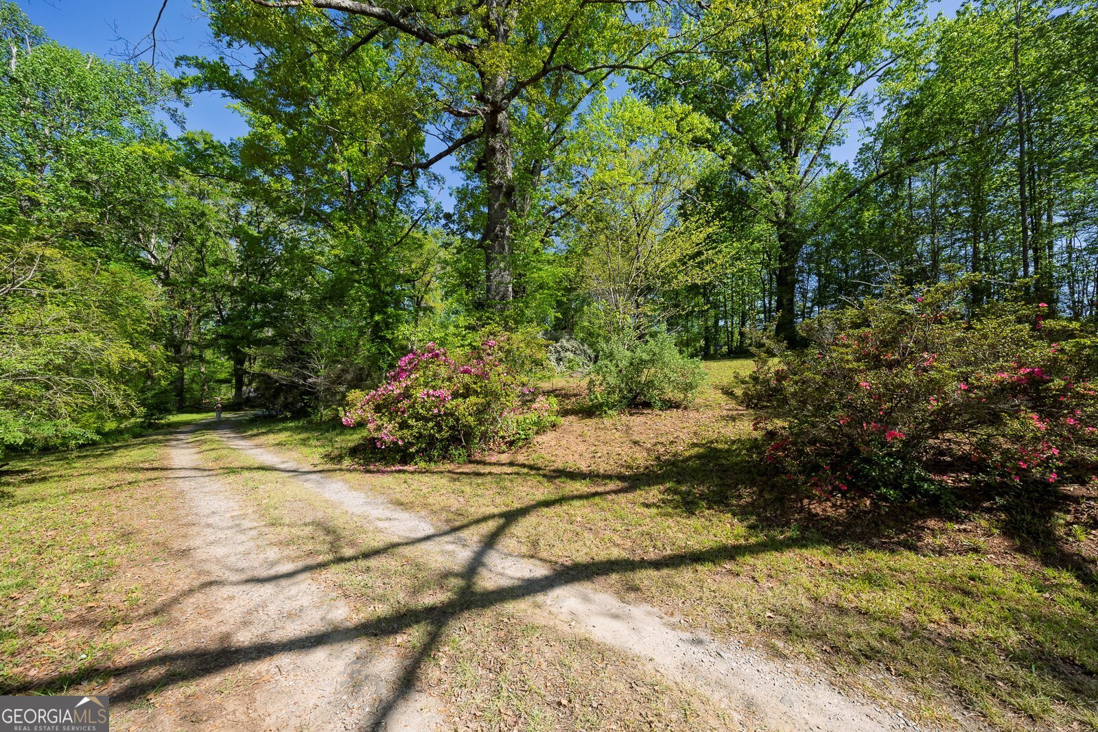 5017 Ball Ground Highway Property Photo 5