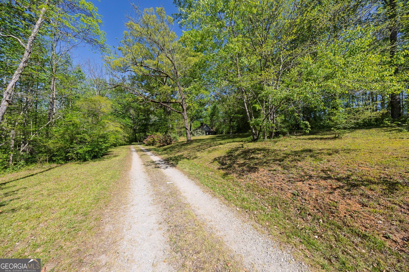 5017 Ball Ground Highway Property Photo 6