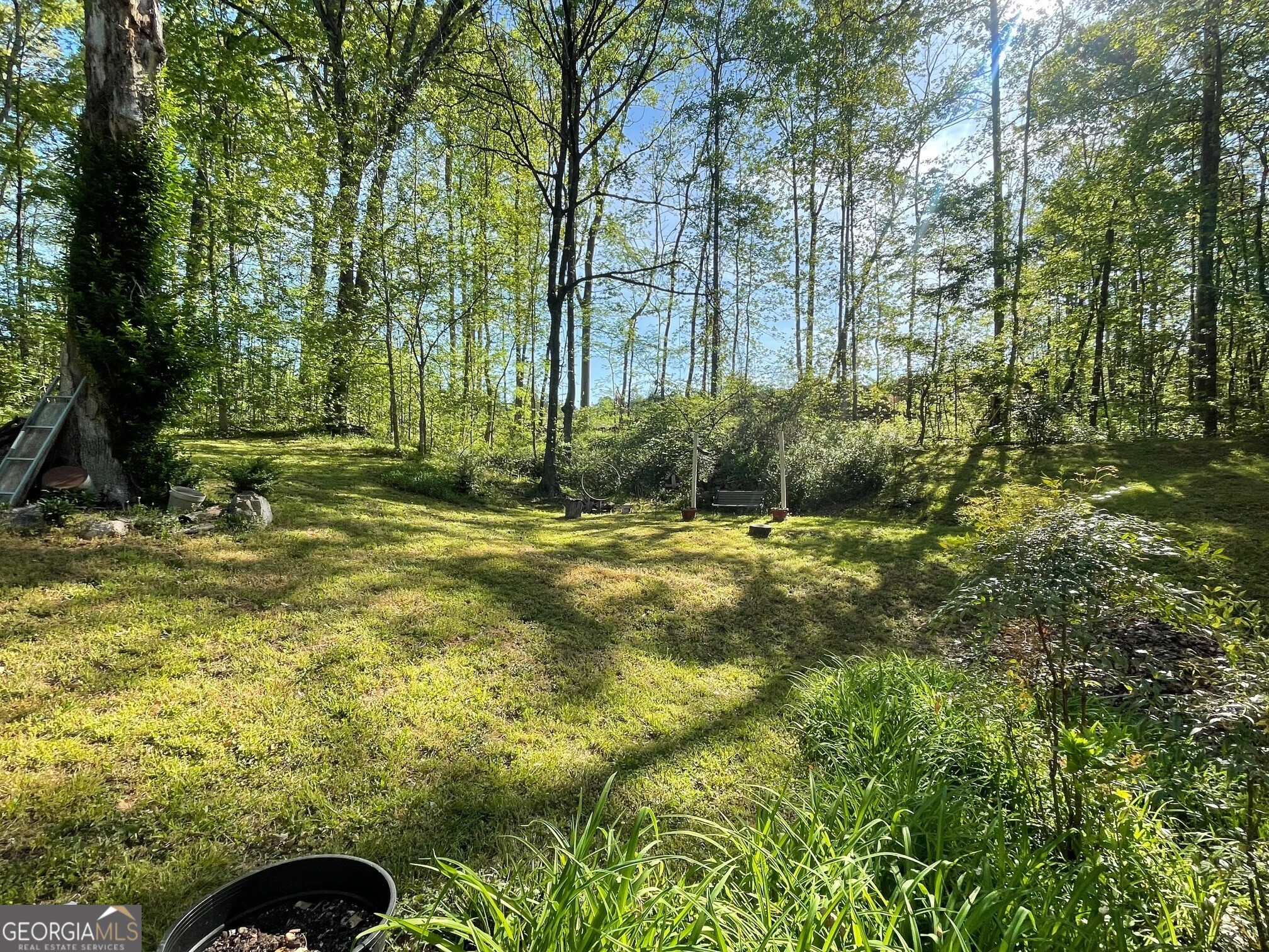 5017 Ball Ground Highway Property Photo 39
