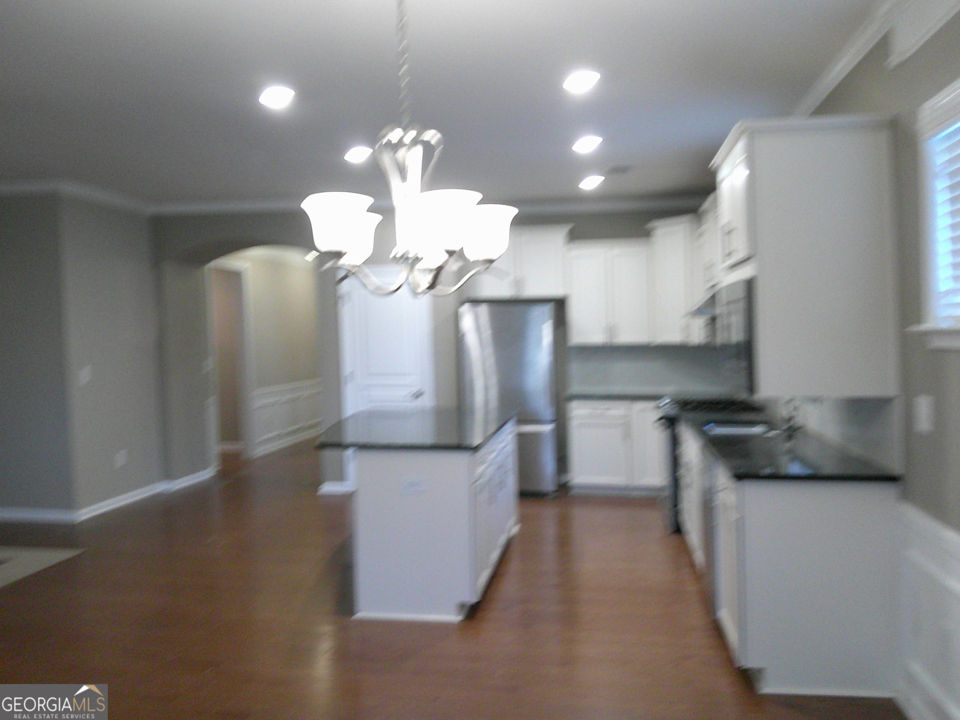 171 Little Gem Court Property Photo 17