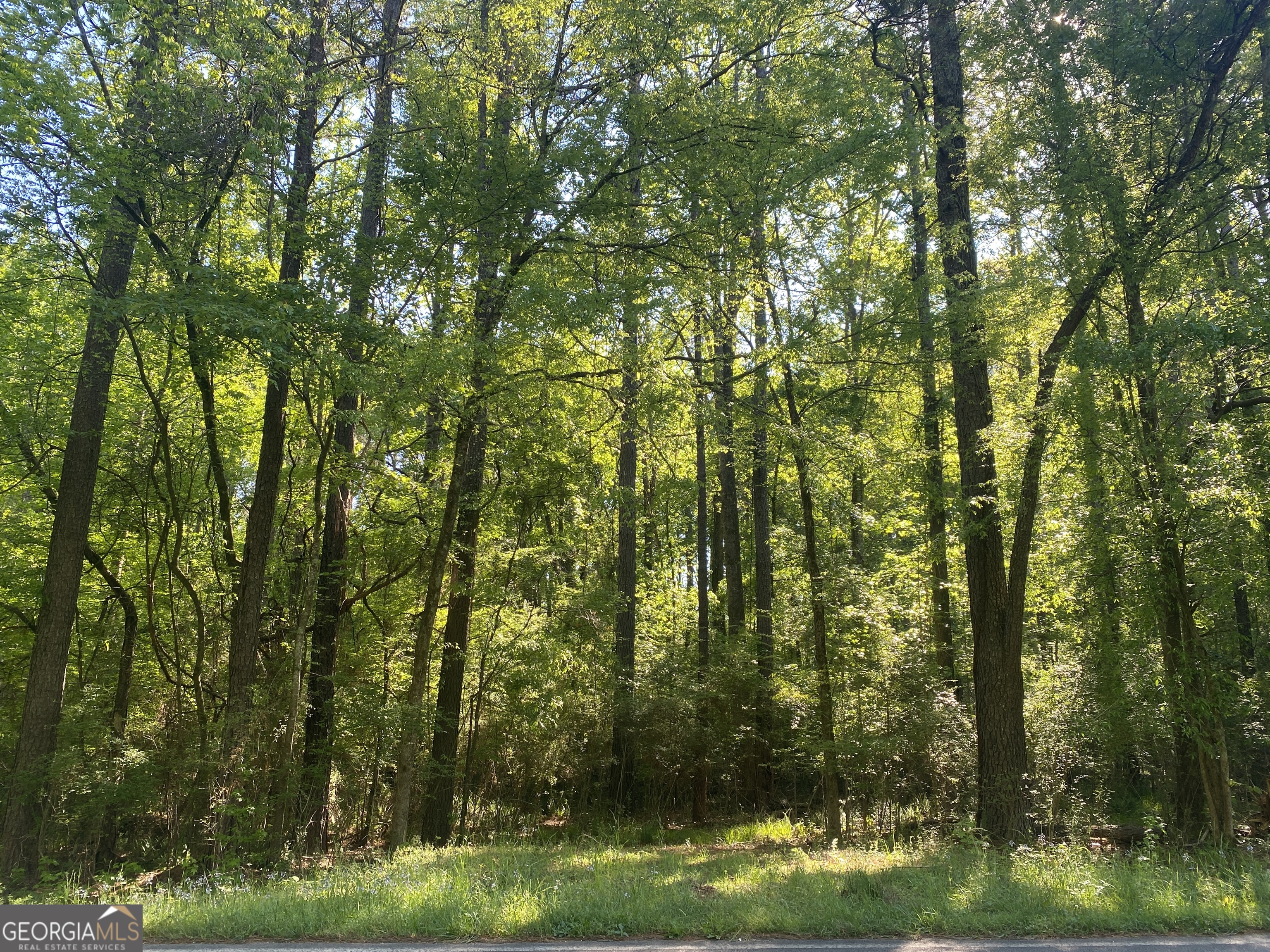 364 Turnerwoods Road Property Photo 1