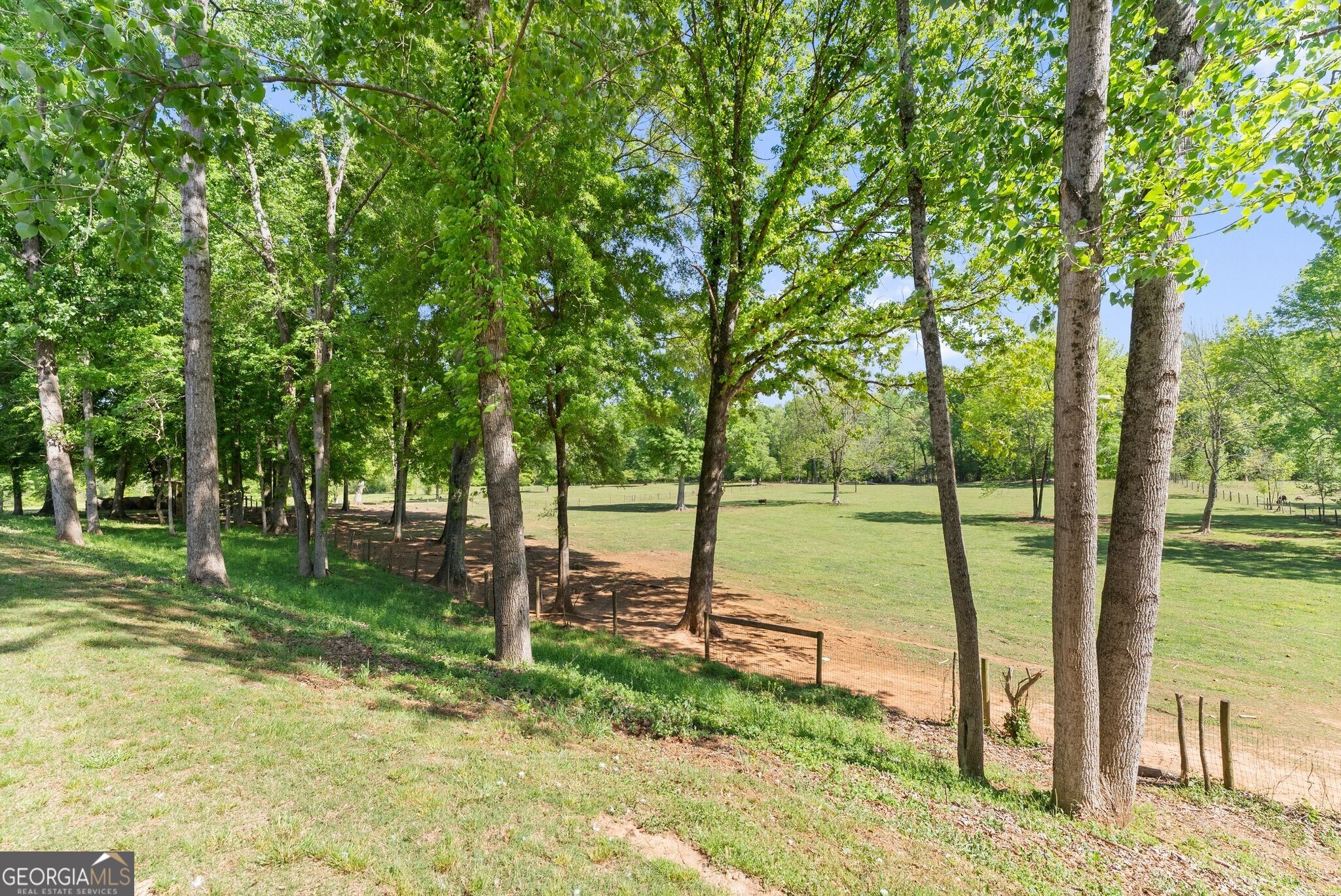951 Canter Way Property Photo 73