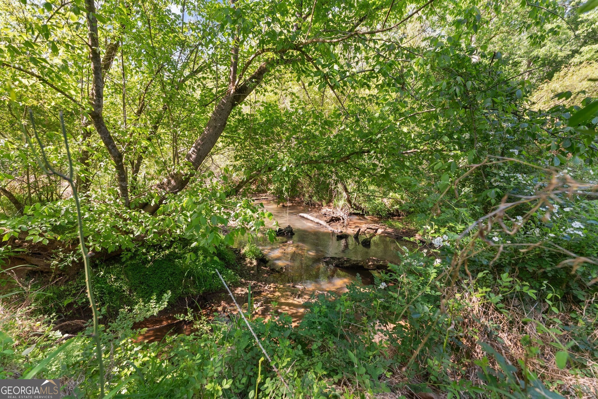951 Canter Way Property Photo 81