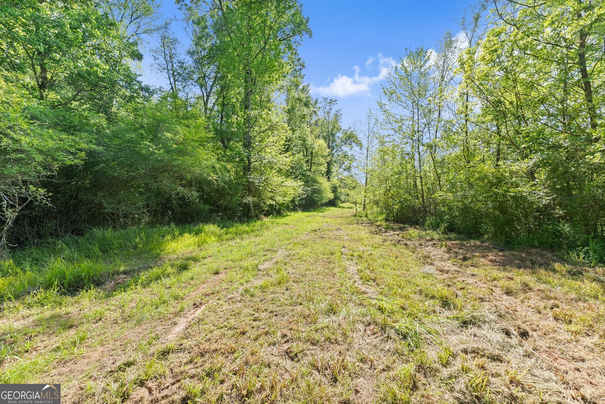 951 Canter Way Property Photo 83