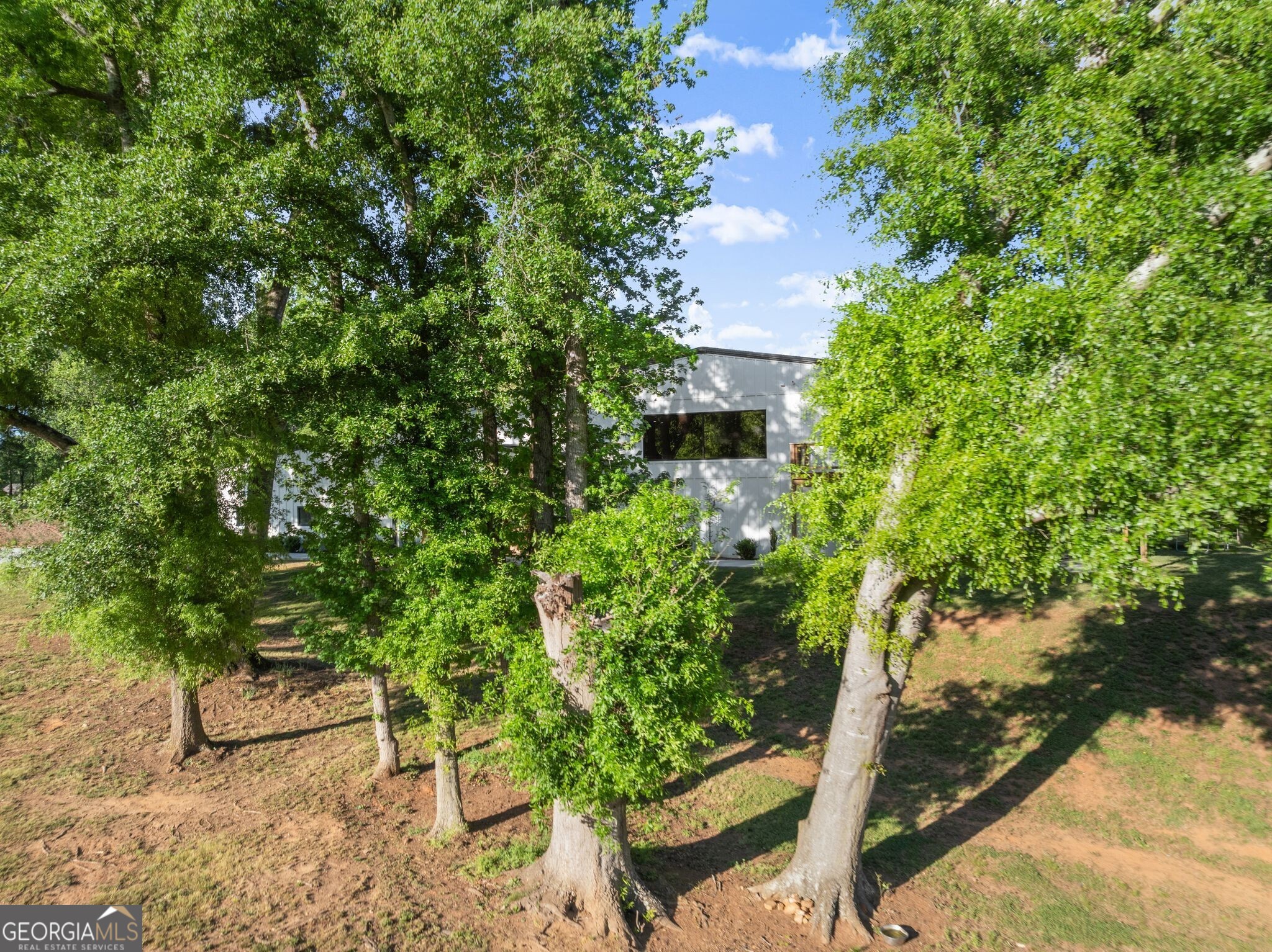 951 Canter Way Property Photo 84