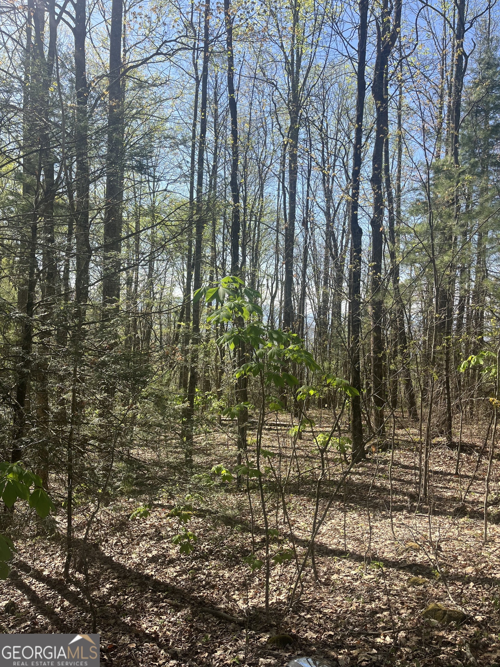 0 Happy Hill Property Photo 2