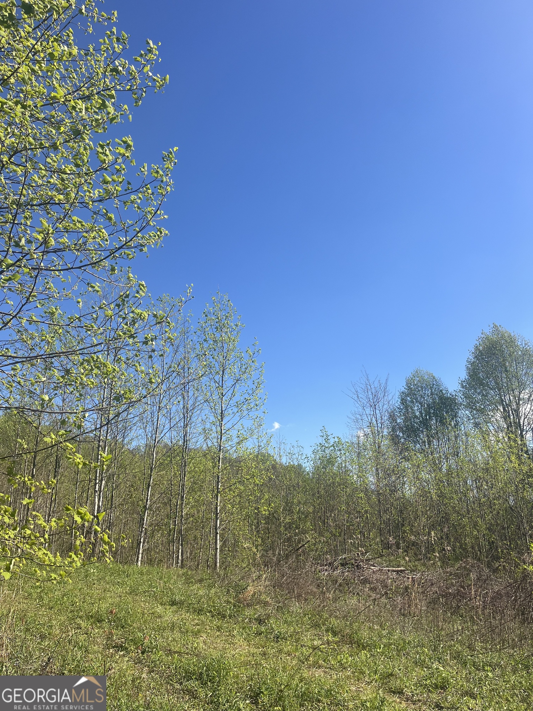 0 Happy Hill Property Photo 8