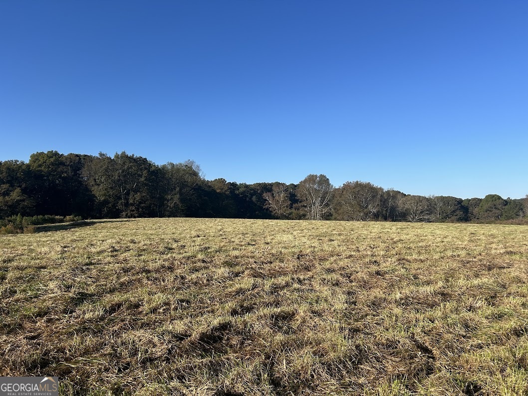 0 Old Columbus Road Property Photo 1