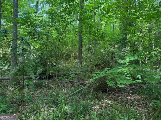 0 Owen Circle Property Photo 5