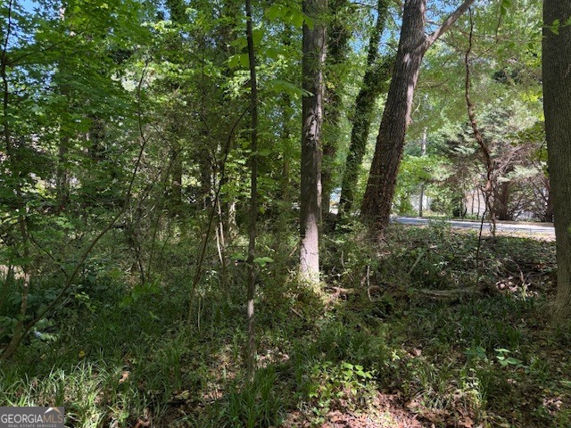 0 Owen Circle Property Photo 6