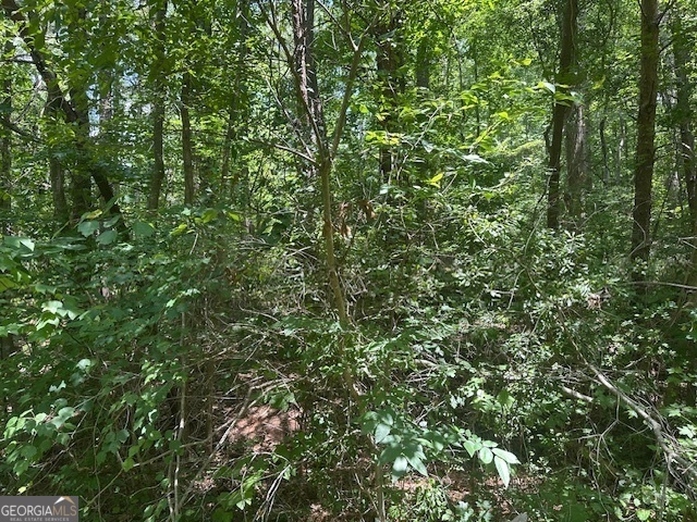 57 Dogwood Trail Property Photo 2