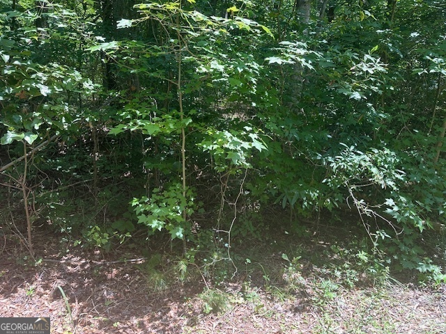 57 Dogwood Trail Property Photo 3