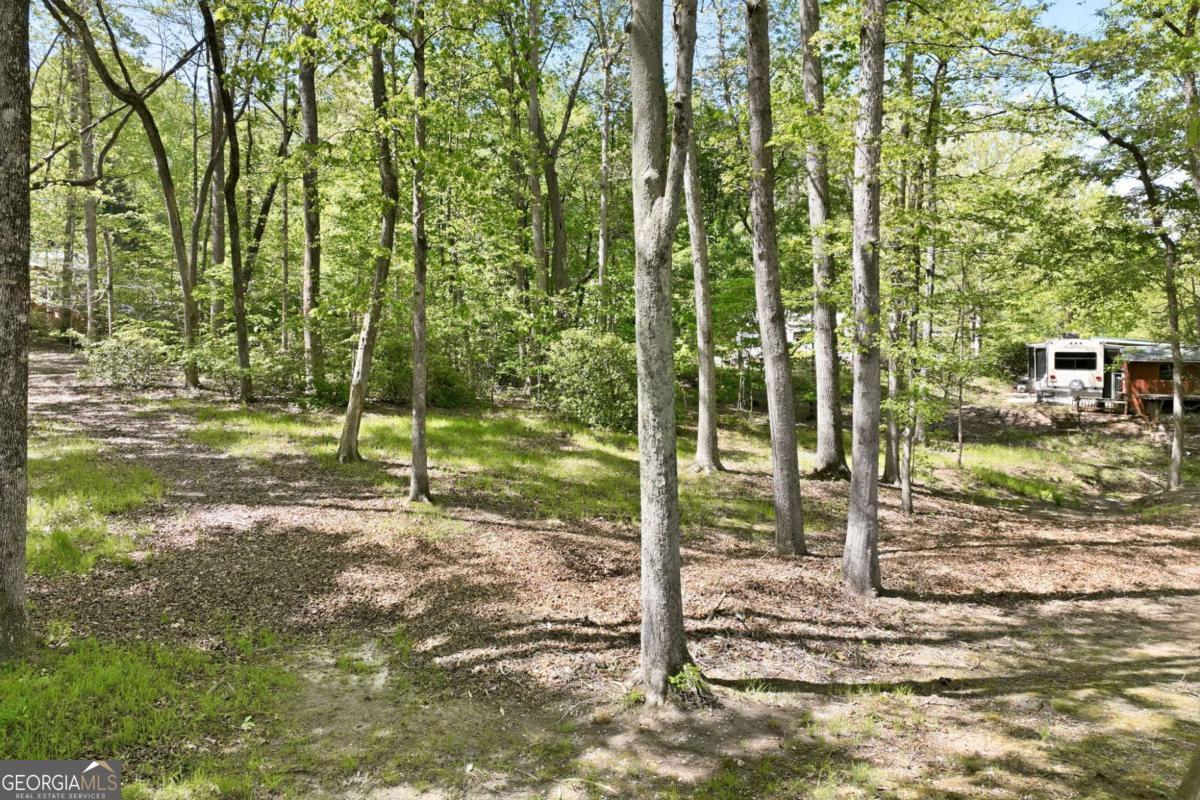 320 Leisure Acres Drive Property Photo 18