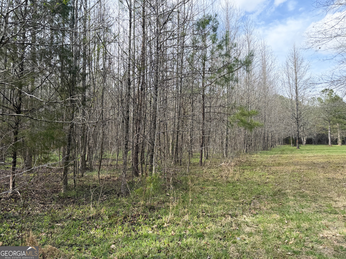 49.85ac Johnson Cemetery Property Photo 6