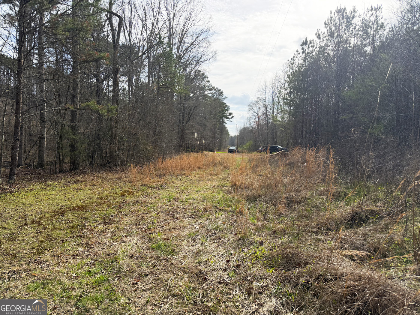 49.85ac Johnson Cemetery Property Photo 7