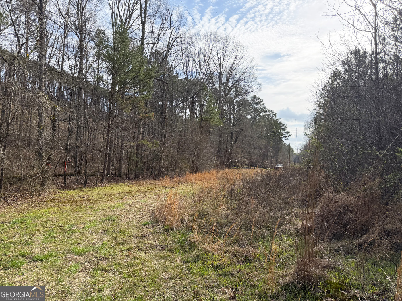 49.85ac Johnson Cemetery Property Photo 8